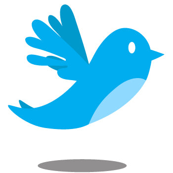 2,500 Twitter Followers
